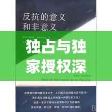 独占与独家授权深度剖析，意义与影响全解析