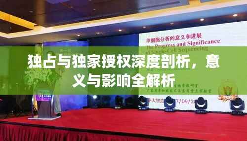 独占与独家授权深度剖析,意义与影响全解析