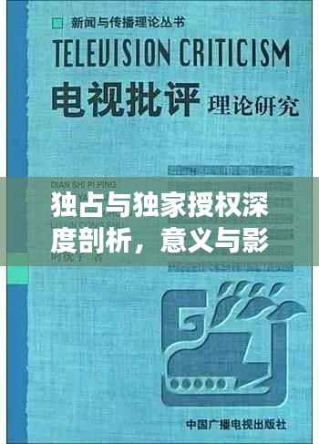 独占与独家授权深度剖析,意义与影响全解析