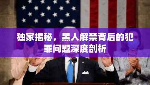 独家揭秘,黑人解禁背后的犯罪问题深度剖析