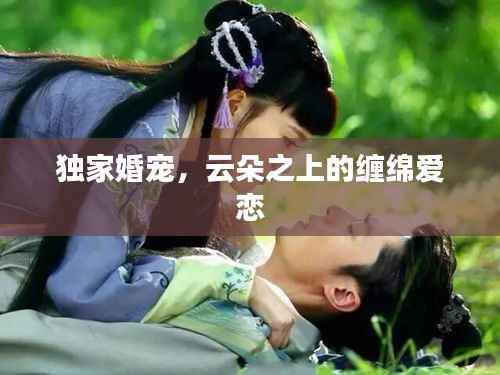 独家婚宠,云朵之上的缠绵爱恋