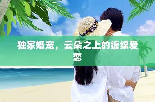 独家婚宠,云朵之上的缠绵爱恋