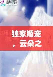 独家婚宠,云朵之上的缠绵爱恋