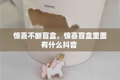 惊喜不断盲盒,惊喜盲盒里面有什么抖音