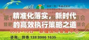 精准化落实,新时代的高效执行策略之道