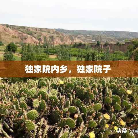 独家院内乡，独家院子 