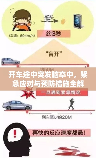 开车途中突发脑卒中,紧急应对与预防措施全解析