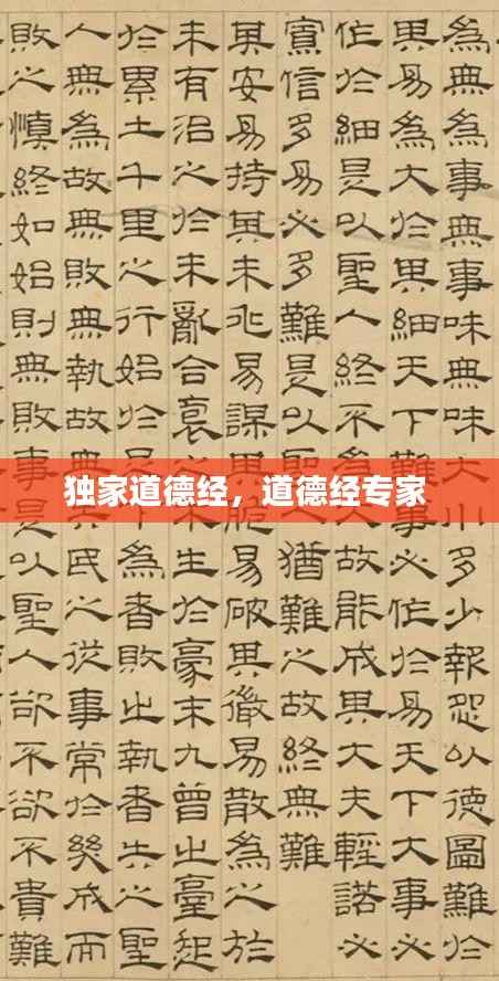 独家道德经，道德经专家 