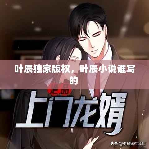 叶辰独家版权，叶辰小说谁写的 