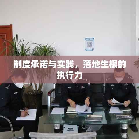 制度承诺与实践,落地生根的执行力