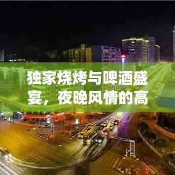独家烧烤与啤酒盛宴,夜晚风情的高清魅力图片展示