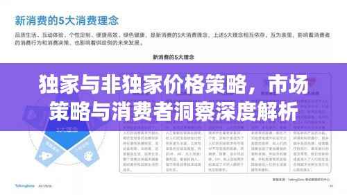 独家与非独家价格策略,市场策略与消费者洞察深度解析