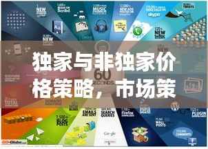 独家与非独家价格策略,市场策略与消费者洞察深度解析
