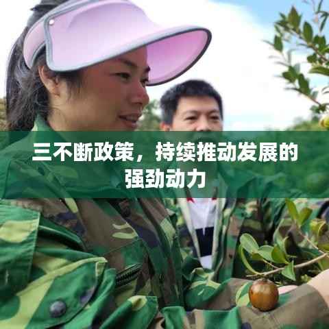 三不断政策,持续推动发展的强劲动力