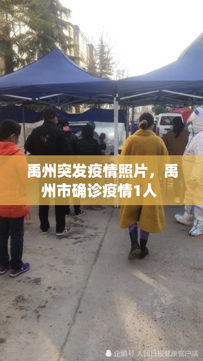 禹州突发疫情照片,禹州市确诊疫情1人