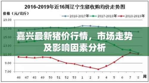 嘉兴最新猪价行情，市场走势及影响因素分析