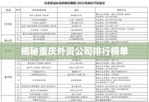 揭秘重庆外资公司排行榜单