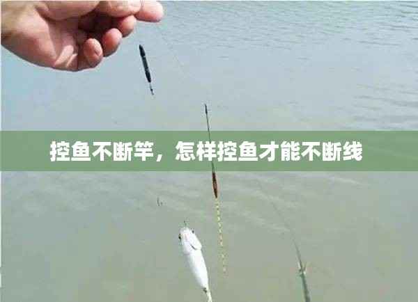 控鱼不断竿，怎样控鱼才能不断线 