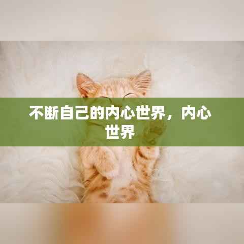 不断自己的内心世界，内心 世界 