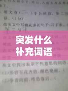 突发什么补充词语,突发的词语