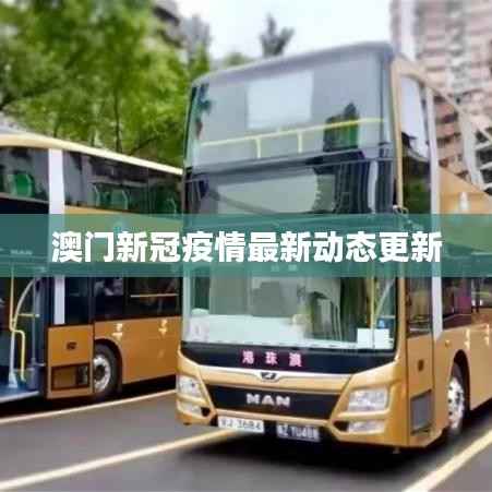 澳门新冠疫情最新动态更新