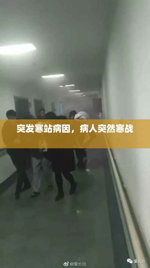 突发寒站病因,病人突然寒战