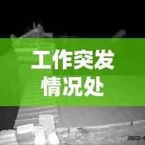 工作突发情况处理,工作突发情况处理报告