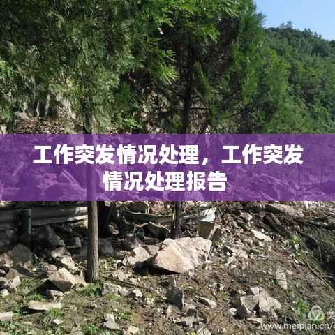 工作突发情况处理,工作突发情况处理报告