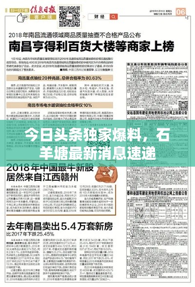 今日头条独家爆料,石羊塘最新消息速递