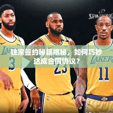 独家签约秘籍揭秘,如何巧妙达成合同协议?