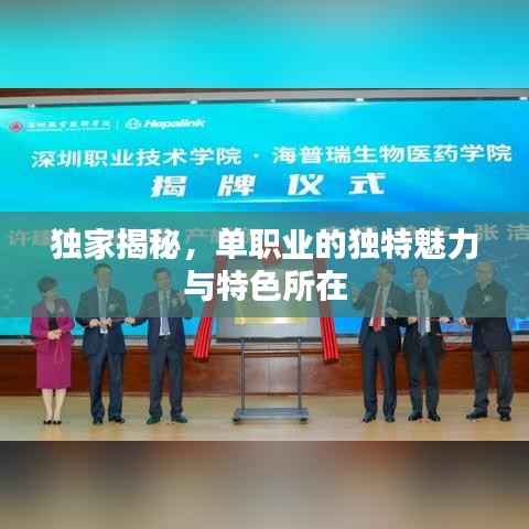 独家揭秘,单职业的独特魅力与特色所在