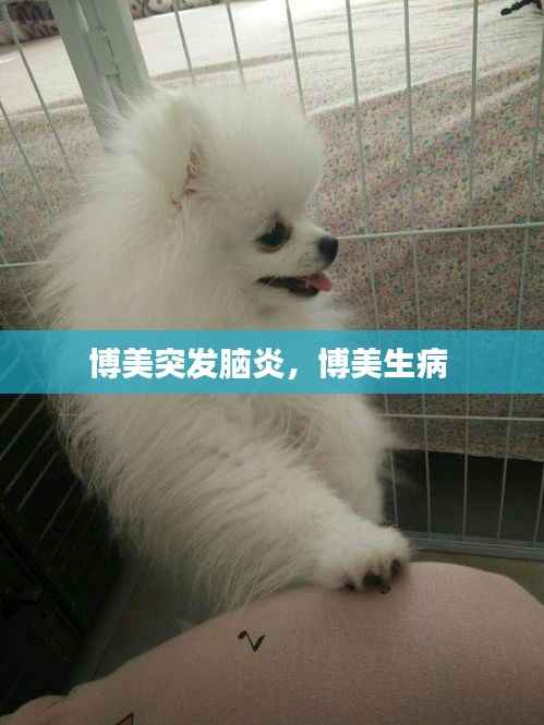 小鸟依人 第5页