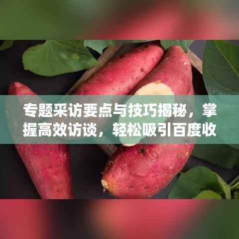 专题采访要点与技巧揭秘,掌握高效访谈,轻松吸引百度收录!