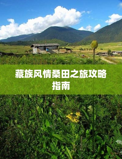 藏族风情桑田之旅攻略指南