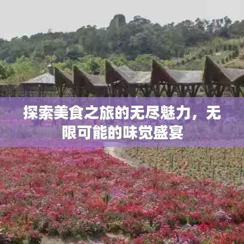 探索美食之旅的无尽魅力,无限可能的味觉盛宴