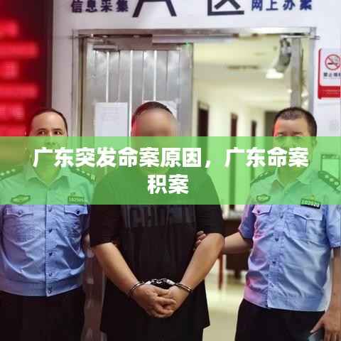 广东突发命案原因，广东命案积案 