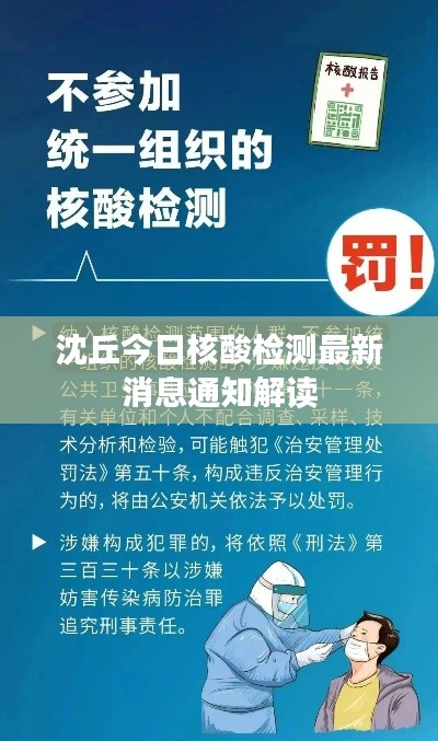 沈丘今日核酸检测最新消息通知解读