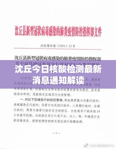 沈丘今日核酸检测最新消息通知解读