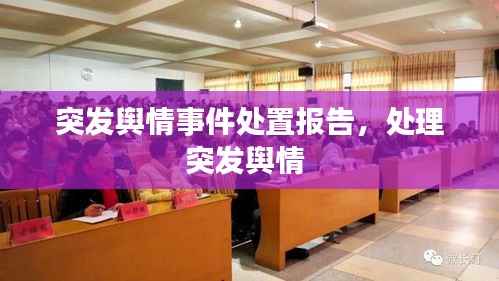 突发舆情事件处置报告，处理突发舆情 