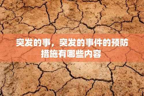 突发的事,突发的事件的预防措施有哪些内容