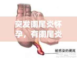 下马看花 第4页