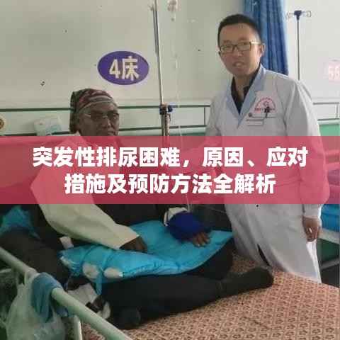 突发性排尿困难,原因、应对措施及预防方法全解析