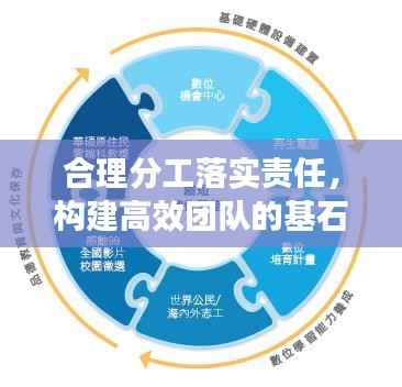 合理分工落实责任，构建高效团队的基石之道