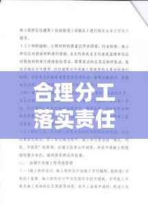 合理分工落实责任,构建高效团队的基石之道