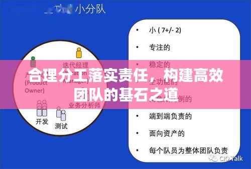 合理分工落实责任,构建高效团队的基石之道