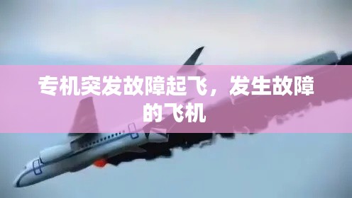 专机突发故障起飞，发生故障的飞机 