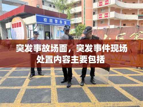 突发事故场面,突发事件现场处置内容主要包括
