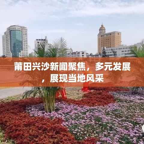 莆田兴沙新闻聚焦,多元发展,展现当地风采