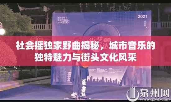 社会摇独家野曲揭秘,城市音乐的独特魅力与街头文化风采