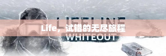 Life,试错的无尽旅程